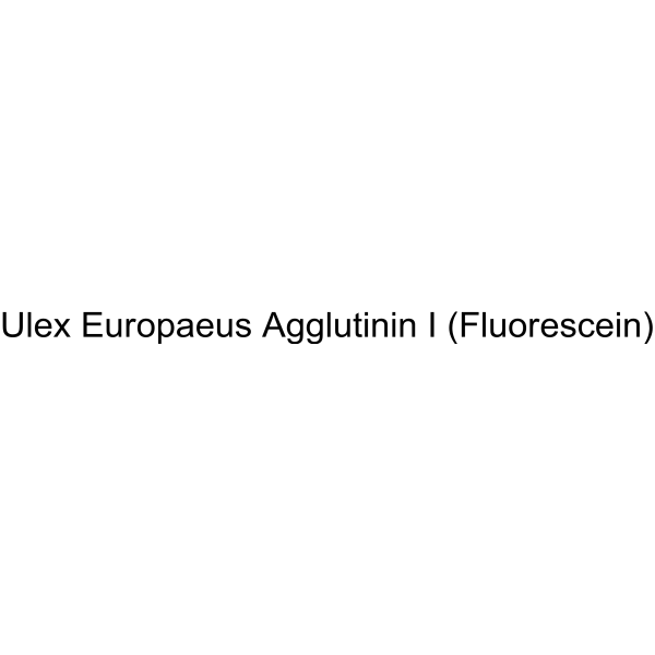 Ulex Europaeus Agglutinin I (Fluorescein)